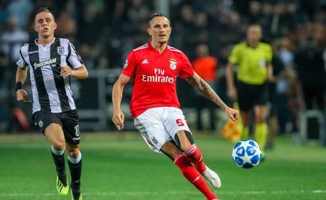 二创生态 二创生态